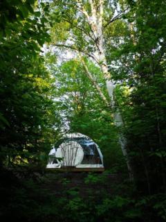 Dôme Forestier - Expérience Glamping détente - 0