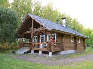 Cottage-karaoke Koivikko - Äänekoski - 7