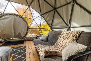 Dôme Forestier - Expérience Glamping détente - 6