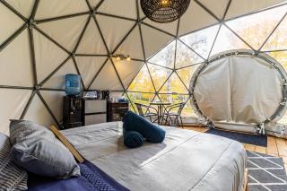 Dôme Forestier - Expérience Glamping détente - 8