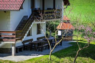 Countryside house - Male Brusnice - 1