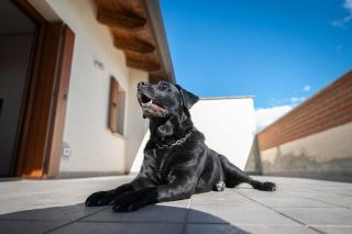 Casa del Sole - - 7
