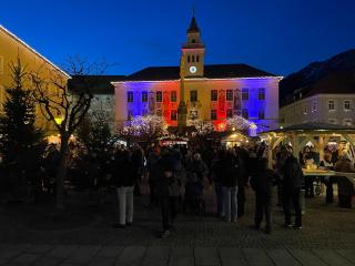 Silberwurz - Bad Reichenhall - 1