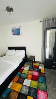 Cosy and Comfy Deluxe Entire Apartment - Londra - 0