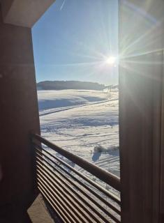 Garfield - Zlatibor - 9