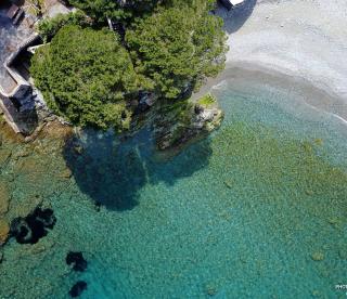 Appartement au bord de mer - San-Martino-di-Lota - 1