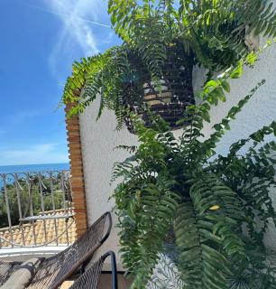 Casa Halcón - Jávea - 2