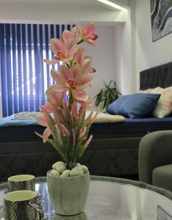 Revolution Star Apartman - Leskovac - 4