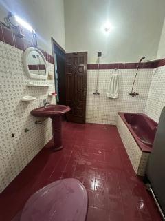 Ahil house - Lahore - 0