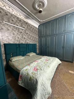 Ahil house - Lahore - 1