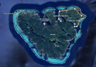 Alaroots Home - Moorea - Moorea - 6