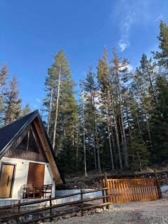 Pine Retreat - Žabljak - 4