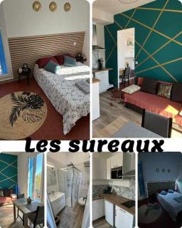 cosy T2- Les sureaux - Perpignan - 6