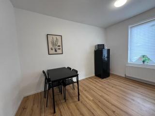 Modern & Comfortable Apartments in Central Altenburg - Altenburg - 5