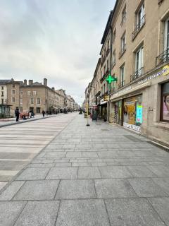 Charmant Duplex Hyper Centre Nancy - Nancy - 4