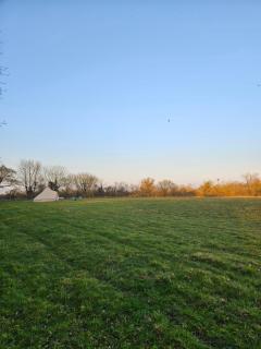 Readers Field Glamping - Great Sampford - 8