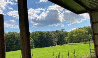 Luxury 15-Acre Fox Lake Retreat - Spring Grove - 1