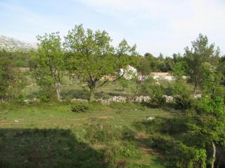 Paklina apartments - Starigrad-Paklenica - 8