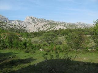 Paklina apartments - Starigrad-Paklenica - 9