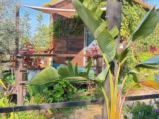 Glamping casa dos Sonhos - Lagoa - 3