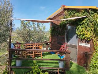 Glamping casa dos Sonhos - Lagoa - 5