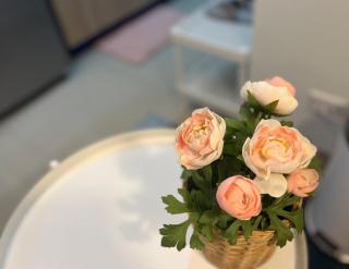 JR864 House - Manilla - 5