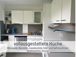 Ferienhaus Odisheim - Hunde willkommen, nicht nur geduldet - hoher Zaun - Terrasse - Infrarotkabine - familienfreundlich - - 1