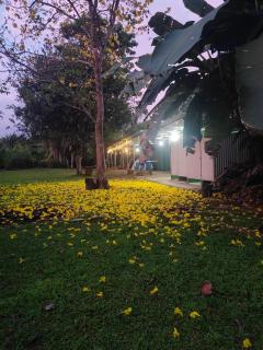 Glamping y Camping Zompopas Trails Costa Rica - Puerto Jiménez - 4