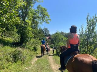 Estate Vukadinovic - 4