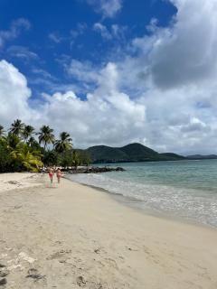 Beachfront studio972 - Sainte-Luce - 7