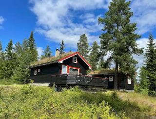 Enjoy Traditional, Norwegian Cabin Coziness - - 0