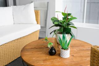 Waterfront CBD luxury 3Br best view & 2 Parkings - Sydney - 4