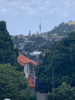 Quiet, Cozy, Central and upmarket Auckland - Auckland - 4