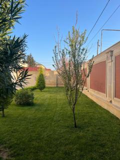 2 Home 3Bedroom Shuvalan dacha villas near the Sea pool terrace barbecue - Baku - 2