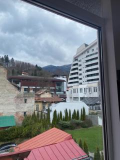 Apartament Relax Sinaia - Sinaia - 8