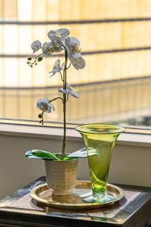 At Home with Sydney Harbour Bridge and Opera House - Sídney - 3