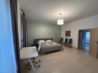 Vera Residence - Timişoara - 9
