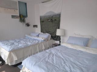 Atelier Vert - Seul - 0