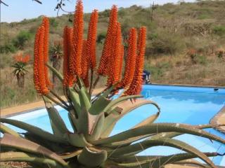 Cumberland Nature Reserve - Pietermaritzburg - 6