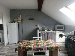 Appartement climatisé avec parking privé gratuit - Doué-la-Fontaine - 8