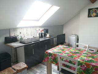 Appartement climatisé avec parking privé gratuit - Doué-la-Fontaine - 7