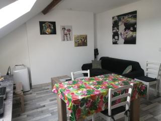 Appartement climatisé avec parking privé gratuit - Doué-la-Fontaine - 9