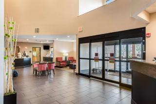 Comfort Suites Monroe - Monroe - 6