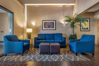 Comfort Inn Amite - Amite - 7