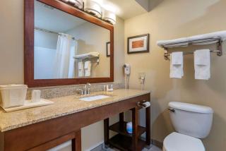 Comfort Inn Amite - Amite - 2
