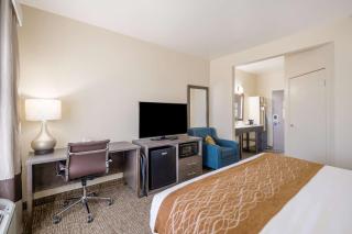 Comfort Inn Bossier City Casino Area near Shreveport Downtown - 4