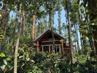 Coffee Grove Resort - Chikmagalūr - 5