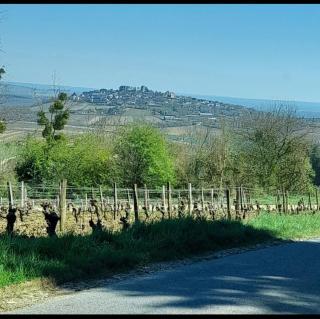 La Petite Sancerroise - Jars - 8