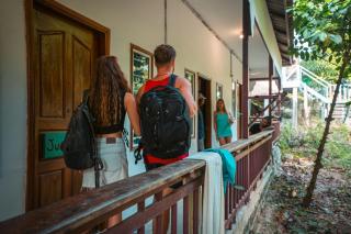 Nest Jungle - 4