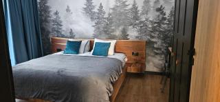 Vila Ferdinand Camelia Apartament - Sinaia - 0